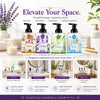 AnatoliaDaphne Mosaic by AD Foaming Hand Soap Variety Pack, 4 x 16.9 Fl Oz – Plant-Based Liquid Hand Wash with Essential Oils – SLS & Paraben Free – Sweet Almond, Lavender, Lemongrass & Ocean